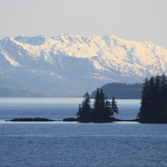 Meet your Posher, Pam - Picture 4 of 12